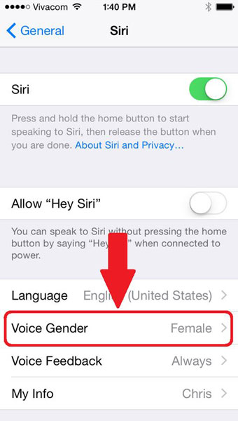 change siri voice gender male female